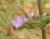 Img.VTax2384.Ex3.Img4