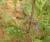 Img.VTax2384.Ex3.Img5