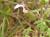 Img.VTax2384.Ex3.Img6