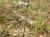 Img.VTax2384.Ex3.Img7