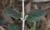 Img.VTax2385.Ex1.Img2