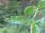Img.VTax2392.Ex1.Img3