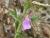 Img.VTax2392.Ex1.Img6