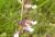 Img.VTax2392.Ex1.Img7