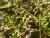 Img.VTax2392.Ex1.Img8