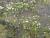 Img.VTax240.Ex2.Img1
