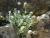 Img.VTax2400.Ex2.Img1