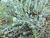 Img.VTax2400.Ex2.Img2