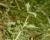 Img.VTax2400.Ex2.Img3