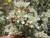 Img.VTax2401.Ex1.Img1