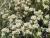 Img.VTax2401.Ex1.Img2