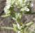 Img.VTax2401.Ex1.Img3