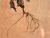 Img.VTax2409.Ex1.Img2