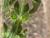 Img.VTax2409.Ex1.Img5