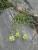 Img.VTax2416.Ex1.Img2