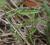 Img.VTax2426.Ex1.Img2