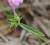 Img.VTax2426.Ex1.Img3