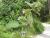 Img.VTax2437.Ex2.Img2