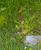 Img.VTax2441.Ex1.Img4