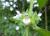 Img.VTax2441.Ex2.Img2