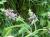 Img.VTax2442.Ex1.Img1