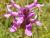 Img.VTax2446.Ex1.Img1