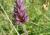 Img.VTax2446.Ex1.Img2