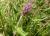 Img.VTax2446.Ex1.Img3