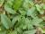 Img.VTax2446.Ex1.Img5