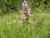 Img.VTax2446.Ex1.Img6