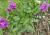 Img.VTax2446.Ex1.Img9