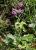 Img.VTax2446.Ex2.Img1