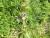 Img.VTax2447.Ex1.Img1