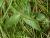 Img.VTax2447.Ex1.Img3