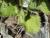 Img.VTax2449.Ex1.Img1