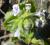 Img.VTax2449.Ex1.Img3