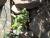 Img.VTax2449.Ex1.Img4
