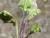 Img.VTax2449.Ex1.Img6
