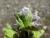 Img.VTax2449.Ex1.Img7