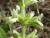 Img.VTax2450.Ex1.Img3