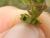 Img.VTax2451.Ex2.Img2