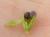 Img.VTax2451.Ex2.Img3