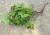 Img.VTax2456.Ex1.Img2