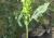 Img.VTax2462.Ex1.Img3