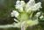 Img.VTax2462.Ex1.Img7