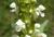 Img.VTax2462.Ex2.Img3