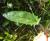 Img.VTax2464.Ex2.Img2
