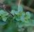 Img.VTax2488.Ex2.Img1