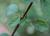 Img.VTax2488.Ex2.Img4