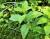 Img.VTax2509.Ex1.Img1